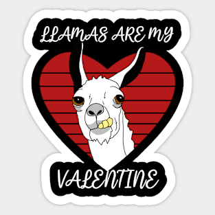 Llamas are my Valentine Sticker